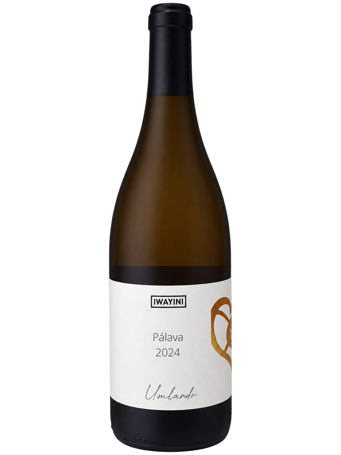 Palava Orange Umlando 2024 — Iwayini