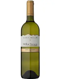 Fresh Müller Thurgau 2023 — Vino Hruška