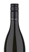 Magister Riesling 2023 — Václav