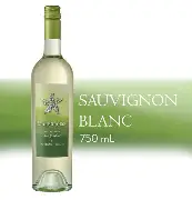 Magister Sauvignon Blanc 2023 — Václav