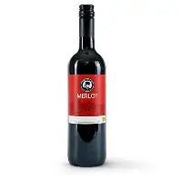 Merlot moravsko zemské 2021 — Winiarstwo Šalša
