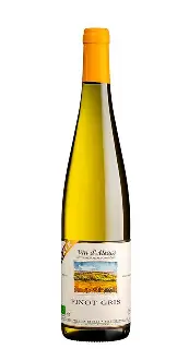 Pinot Gris 2023 — Vinařství THAYA