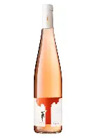 Pinot Noir Rose 2022 — Vinařství THAYA